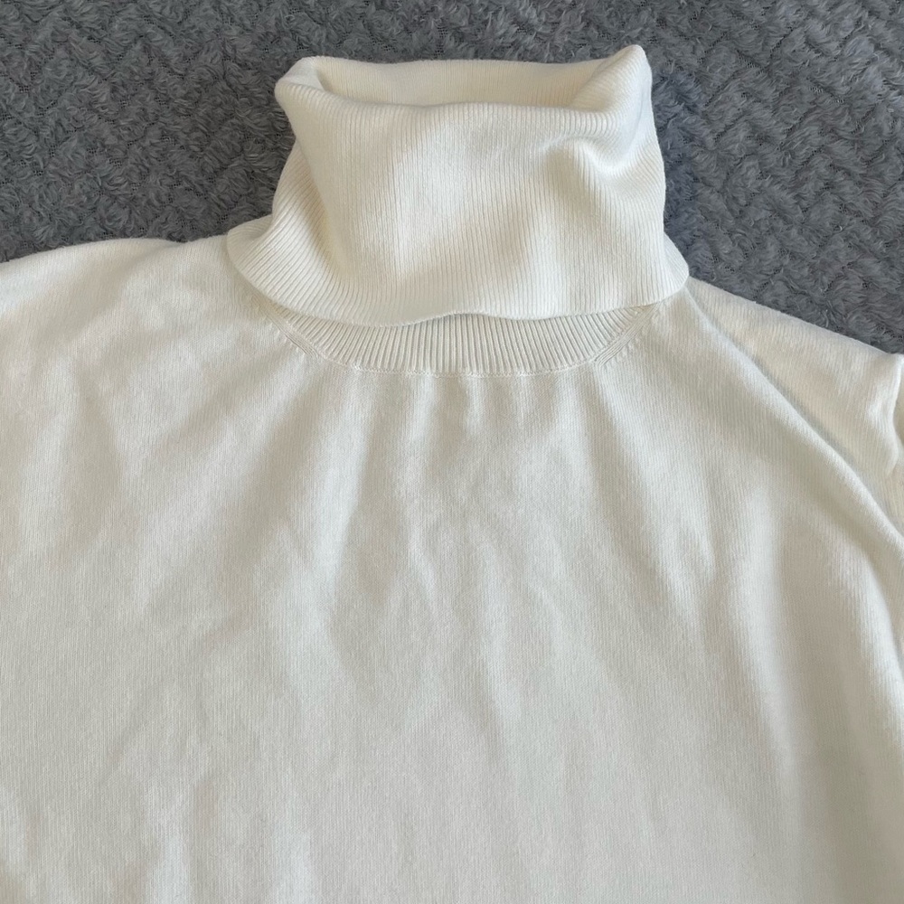 Banana Republic Turtle Neck